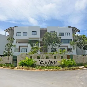 https://oasis-yaaxlum.allrivieramayahotels.com